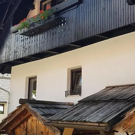 Hisa Plansar Bohinji-tó
