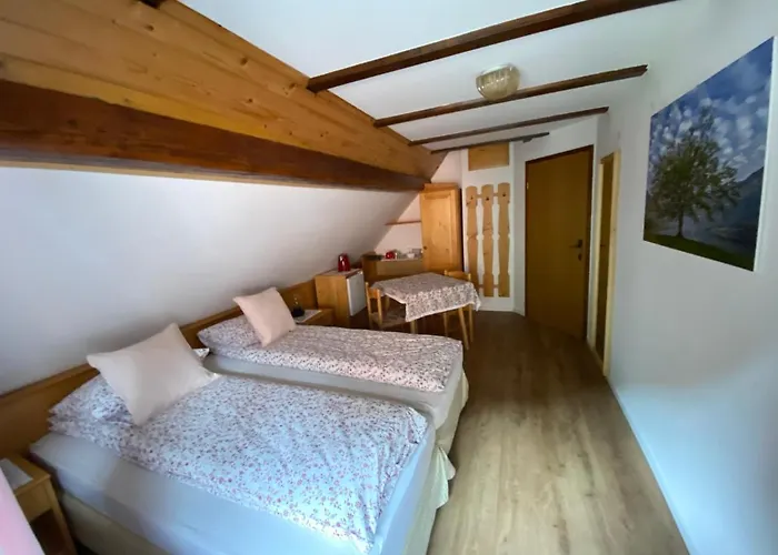 Hisa Plansar Bed and breakfast Bohinj