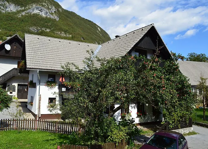 Bed & Breakfast Hisa Plansar 3*